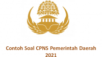 Contoh Soal SKB CPNS Pemerintah Daerah 2021