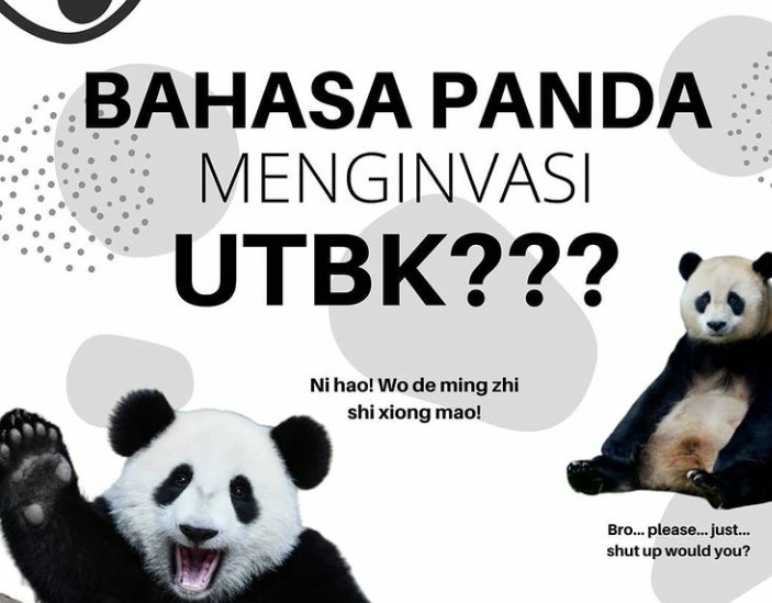 Contoh Soal Bahasa Panda dan Pembahasannya Untuk UTBK 2022