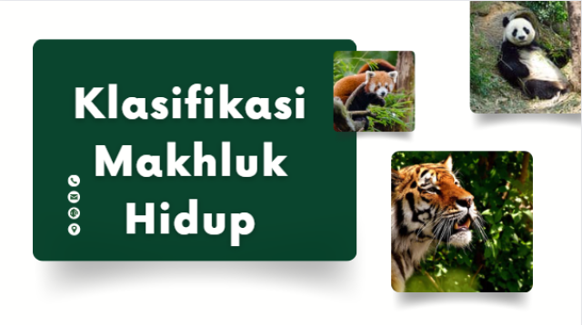 Soal Klasifikasi Makhluk Hidup Kelas 7 dan Jawabannya