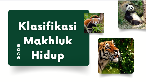 Soal Klasifikasi Makhluk Hidup Kelas 7 dan Jawabannya